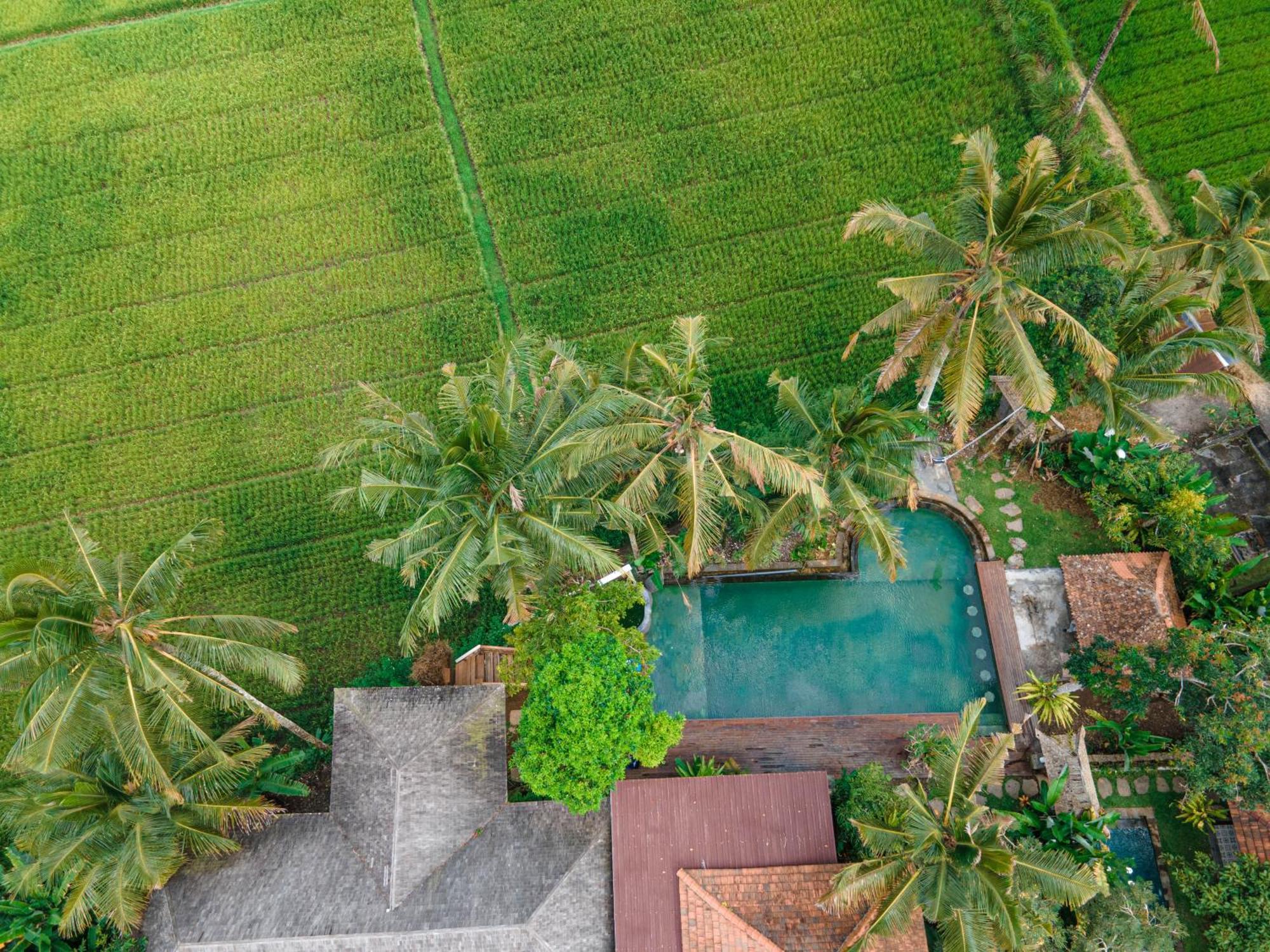 Uma Linggah Resort By Puri Signatures Tampaksiring Exterior foto